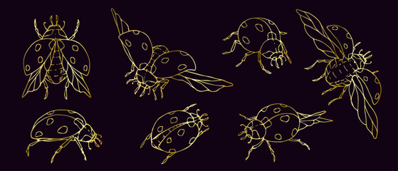 Set of winged insects, golden outline of ladybugs.Vector graphics.