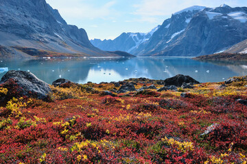 Skoldungen and fjord with autumn tundra vegetation.  East Greenland.