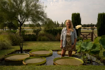Poster Landscaping and water gardens. Portrait of a woman in her 60s inside a pond growing aquatic plants such as Victoria cruziana with giant green floating leaves and Xin Jin Xia lotus with a white flower. © Gonzalo