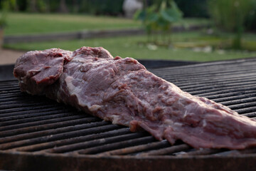 Barbecue. Tenderloin in the grill with a charcoal fire.	