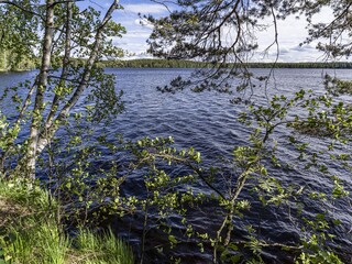 Beautiful landscape on the Vsevolozhsk Lakes, in the Leningrad region in North-West Russia