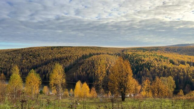 Autumn landscape of a forest river with a cloudy sky. The background of nature. Perm Region, Urals. The bank of the Kosva River in autumn is not far from the Scenery for the film The Heart of Parma