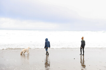 Happy dog enjoying the sand and beach with family.
