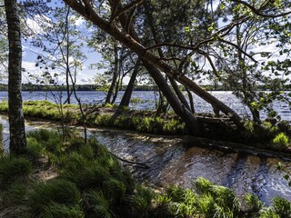 Beautiful landscape on the Vsevolozhsk Lakes, in the Leningrad region in North-West Russia