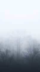 A foggy forest with trees fading into the mist Calmness atmospheric photo footage for TikTok, Instagram, Reels, Shorts