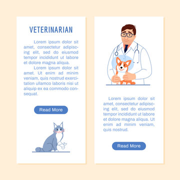 Veterinary medicine flyer or vertical banner with copy space, button. Young veterinarian, dog in protective cone, cute cat with injured paw on white background Flat line vet clinic vector illustration