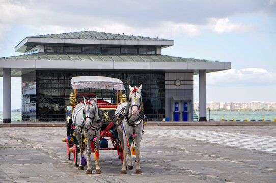 horse and carriage at kordon, izmir