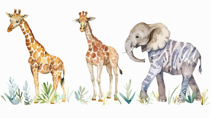 Watercolor set with wild savannah animals. Giraffe 