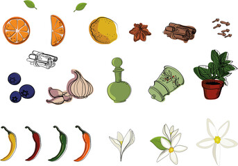 set of kitchen items: fruits, berries, vegetables and flowers
