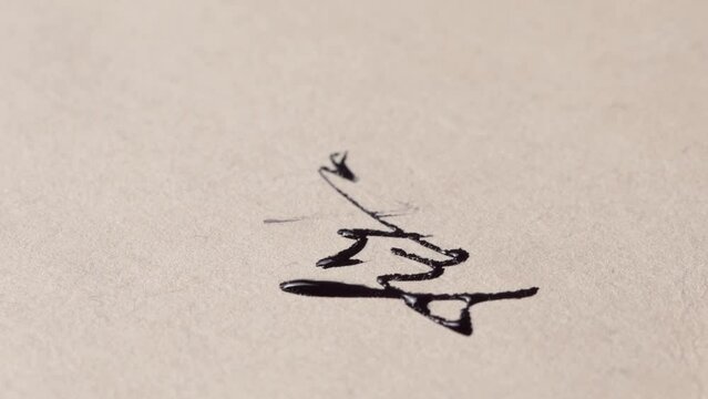 Detailed view of a vintage fountain pen signature on antique paper