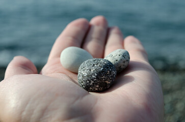 Monochrome stones lie on the palm