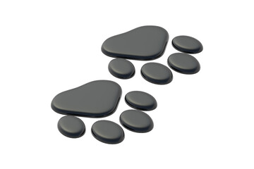 Pair of pet footprints isolated on white background. Animal tracks. 3d render