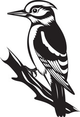 Plumage Percussion Vector Logo Design with Woodpecker Emblem Beak Beat Iconic Woodpecker Emblem Design