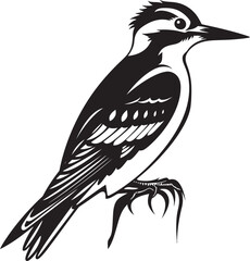 Rustic Rhythm Vector Logo Design with Woodpecker Emblem Talon Tapper Iconic Logo with Woodpecker Emblem