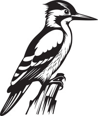 Fototapeta premium Talon Tapper Iconic Logo with Woodpecker Emblem Feathered Fury Woodpecker Emblematic Graphics