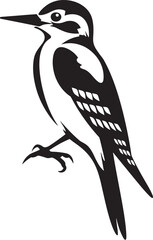 Fototapeta premium Plumage Percussion Woodpecker Symbol Icon Perky Pecker Vector Logo Design with Woodpecker Emblem