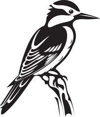 Perky Pecker Woodpecker Symbol Design Timber Tap Vector Logo with Woodpecker Symbol