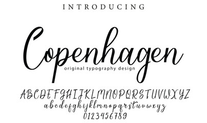 Copenhagen Font Stylish brush painted an uppercase vector letters, alphabet, typeface - obrazy, fototapety, plakaty