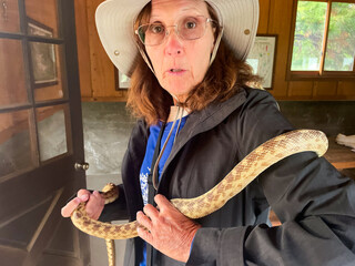 A Mature Woman Naturalist Experiencing a Gopher Snake for the First Time showing ophidiophobia,  The Fear of Snakes