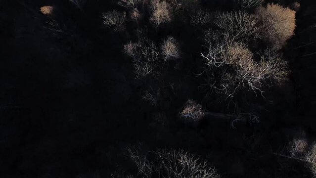 Mirar a trav&eacute;s de un drone es m&aacute;gico. Se ven &aacute;rboles, monta&ntilde;as, casas, picos de espacios, pueblos m&aacute;gicos, nieves inmensas que amas.