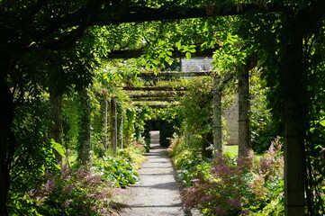 stone arch in the garden