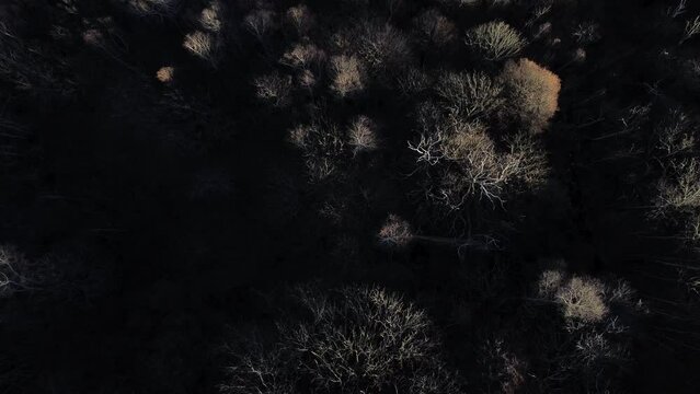Mirar a trav&eacute;s de un drone es m&aacute;gico. Se ven &aacute;rboles, monta&ntilde;as, casas, picos de espacios, pueblos m&aacute;gicos, nieves inmensas que amas.