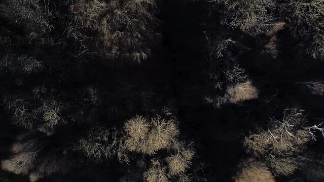 Mirar a trav&eacute;s de un drone es m&aacute;gico. Se ven &aacute;rboles, monta&ntilde;as, casas, picos de espacios, pueblos m&aacute;gicos, nieves inmensas que amas.