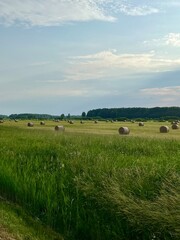 Naklejka premium Ukraine is a peaceful sky above your head. The breadbasket of Europe!