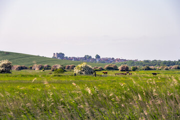 Walking in East Sussex, England, in spring, view of the countryside and Lewes castle © veronique