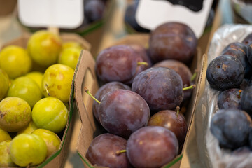 Three cardboard baskets filled with green, red, and purple colored plums, for sale at a market. The display of organic fruit is of colorful produce. The fresh ripe damsons have stalks attached.