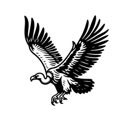 Fototapeta na wymiar vulture hand drawn vintage illustration in black and white