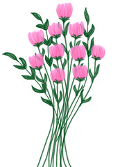 bouquet of pink tulips