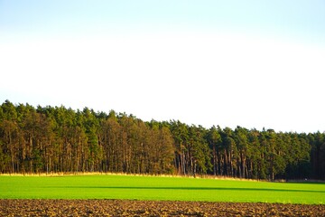 Gęsty las, zaorane pole i łąka.