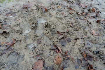 The muddy ground might be life itself