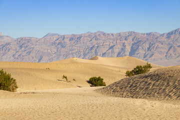 Mesquite Flat Sand Dunes, Death Valley National Park, California