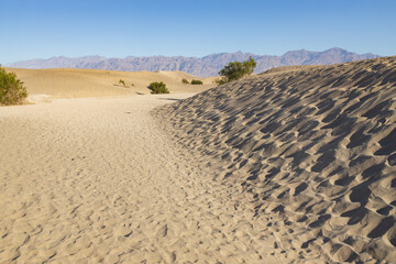 Footprints in the sand at Mesquite Flat Sand Dunes, Death Valley National Park, California