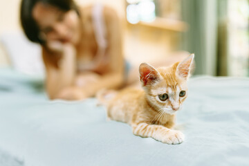 Contemplative Kitten with Woman Relaxing in the Background