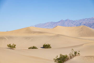 Mesquite Flat Sand Dunes, Death Valley National Park, California