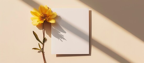 A vibrant yellow flower is placed beside a pristine white card on a wooden table, creating a beautiful contrast of colors and textures.
