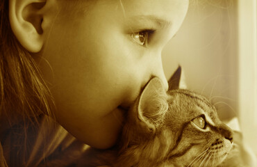 Portrait of cute girl with funny kitten, face to face, close up. Domestic cat and child. Love,...