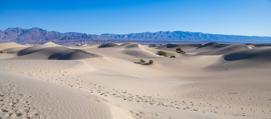 Footprints in the sand at Mesquite Flat Sand Dunes, Death Valley National Park, California