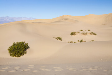 Footprints in the sand at Mesquite Flat Sand Dunes, Death Valley National Park, California