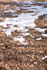 Snow remains on a meadow with dead leaves in winter