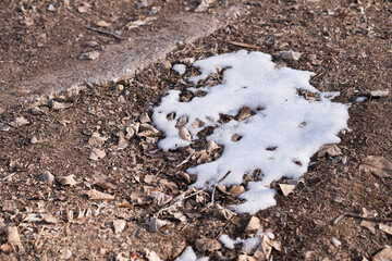 Snow remains on a meadow with dead leaves in winter