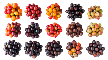 collection of coffee beans from Sumatra