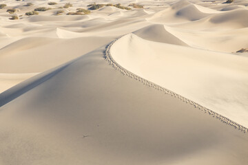 Mesquite Flat Sand Dunes, Death Valley National Park, California