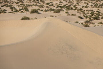Mesquite Flat Sand Dunes, Death Valley National Park, California