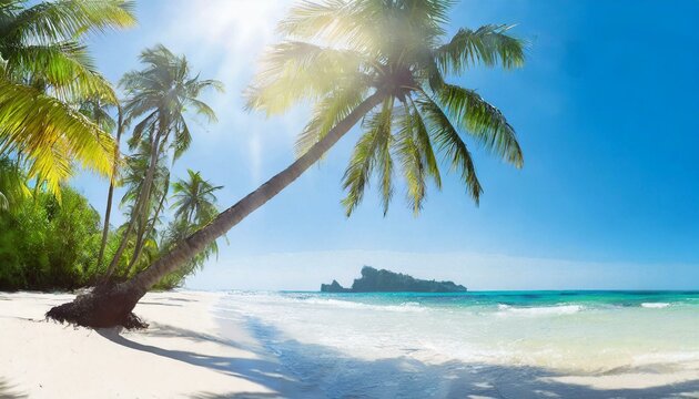 Panorama of tropical beach with coconut palm trees.  Travel, holdiay, summer concept.	
