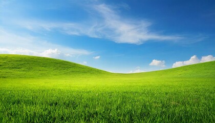 Fototapeta na wymiar Landscape view of green grass field with blue sky background 