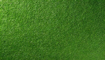Flat lay Artificial lawn synthetic turf Artficial grass texture background - Powered by Adobe